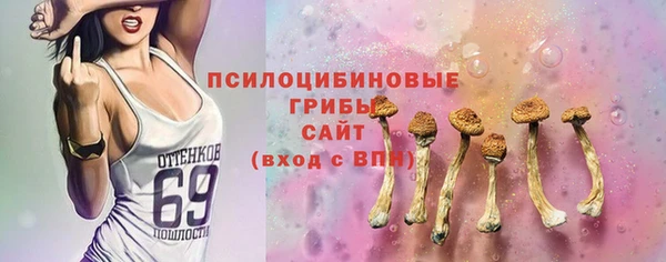 индика Верея