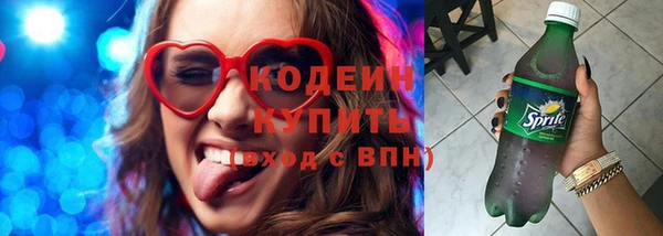 гашик Сосновый Бор