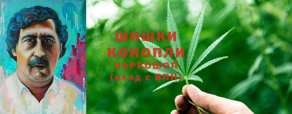 индика Верея