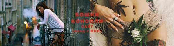 индика Верея