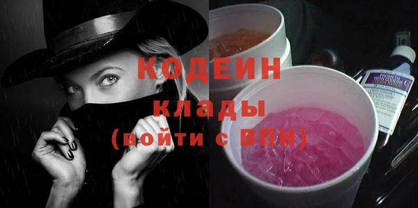 индика Верея