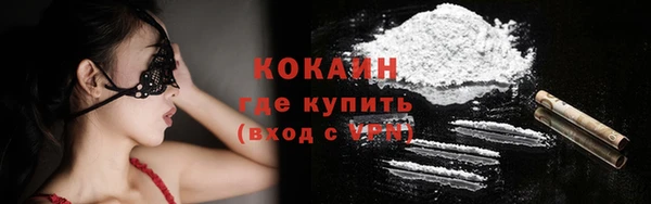 индика Верея