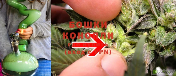 спиды Богданович