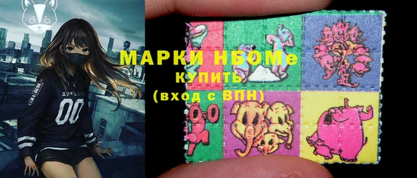 гашик Сосновый Бор