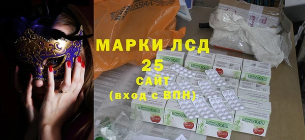 индика Верея